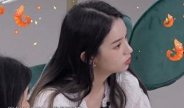 鹏哥爆料盈公主最新,鹏哥独家爆料揭秘幕后故事