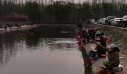 快乐垂钓视频在线观看,快乐垂钓视频在线观看，尽享宁静时光