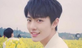 娱乐大瓜爆料胡一天,揭秘明星背后的故事