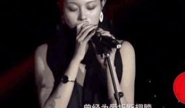 汪峰的前妻爆料视频,揭秘婚姻内幕与情感纠葛